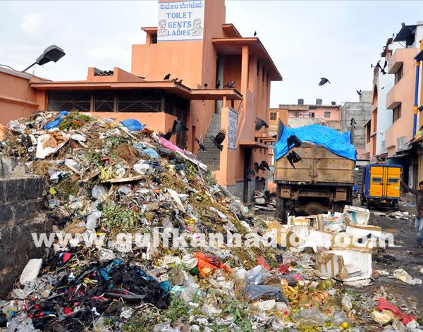 Bang Garbage_June 25_2014_003