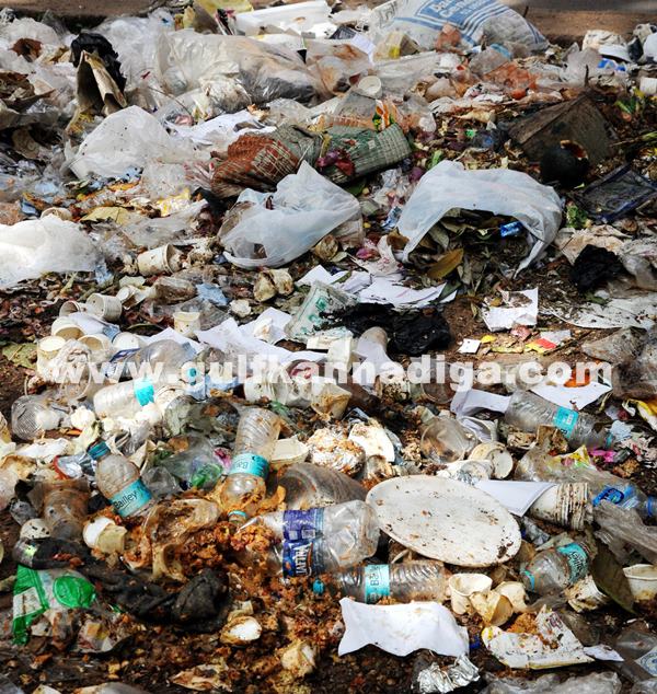 Bang Garbage_June 25_2014_005