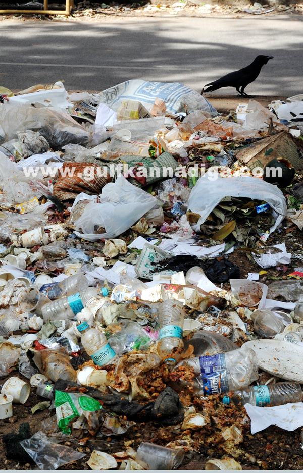 Bang Garbage_June 25_2014_006