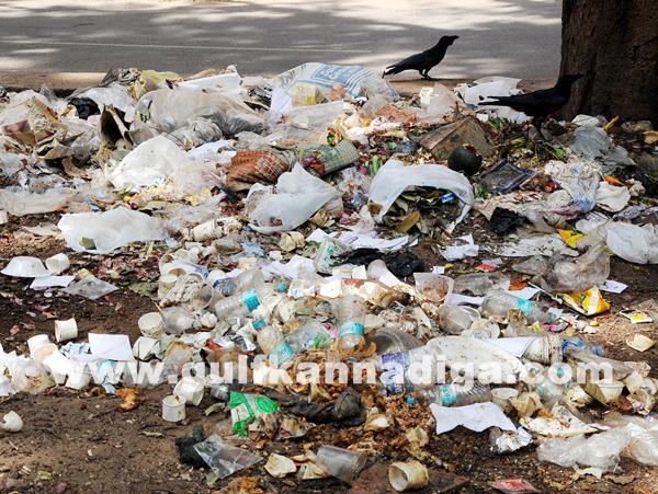 Bang Garbage_June 25_2014_007