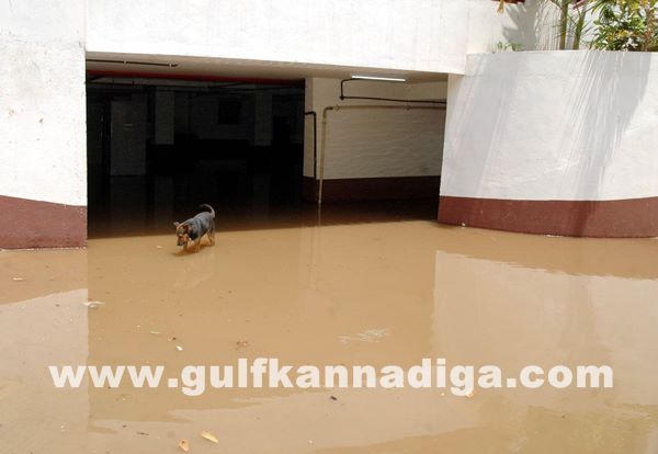 Kar Rain_June 6_2014_010