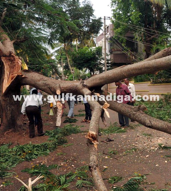 Kar Rain_June 6_2014_015