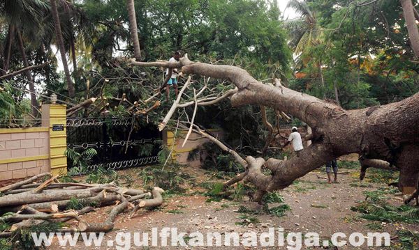 Kar Rain_June 6_2014_018