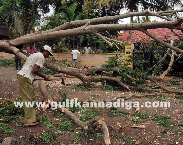 Kar Rain_June 6_2014_022