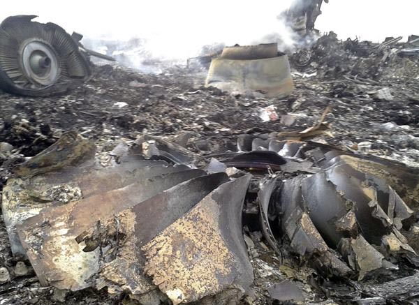 Malaysia Airlines plane Crash_July 17_2014_013