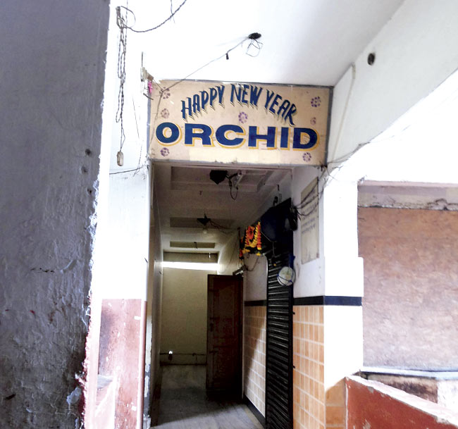 Orchid-Bar