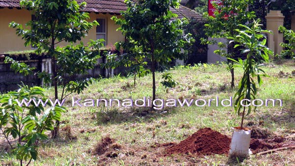 Vanamahotsava_Press_9a