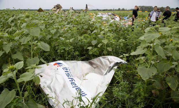 malaysia Airlines_clrashed_Ukraine_Sunflower
