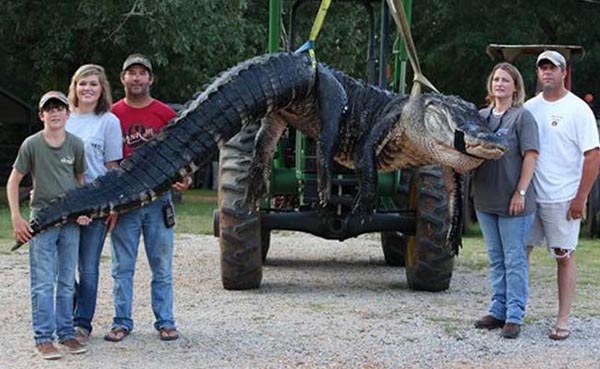 Alligator_Alabama