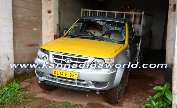 Cattle_trafficking_arrest_2