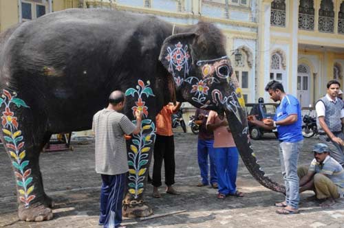 mysore Dasara