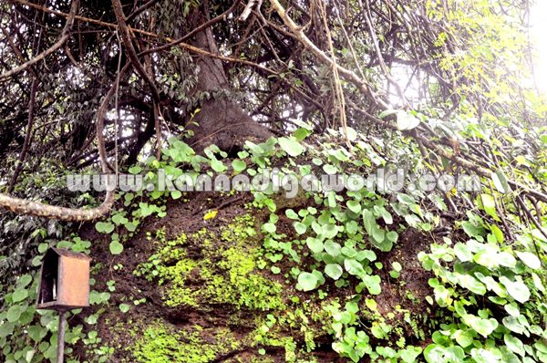 Bijooru_Bobbarya_Temple (1)