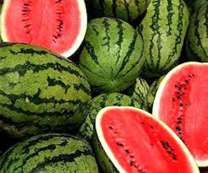 water_melon