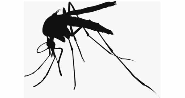 malaria-news