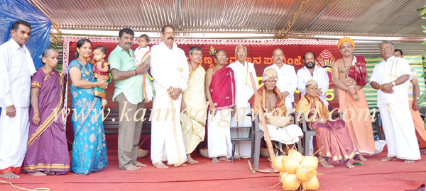 mulky_pavanje_photo_1