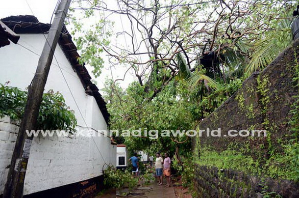 Donger_keri_photo_2_1