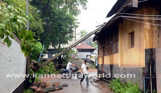 Donger_keri_photo_4_1