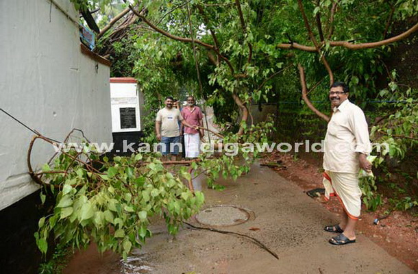 Donger_keri_photo_6_1