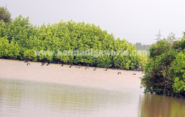 State_Cheiaf Secreatory_Visit_Kndpr (11)