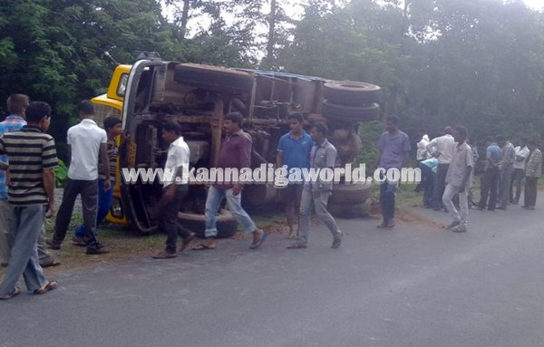 Tipper_ Pulti_Cow Death (3)