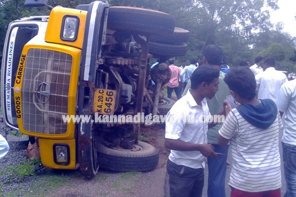 Tipper_ Pulti_Cow Death (5)