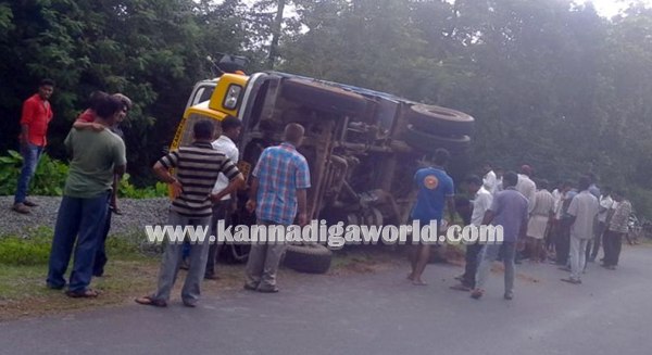 Tipper_ Pulti_Cow Death (7)