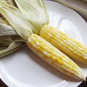 corn_images