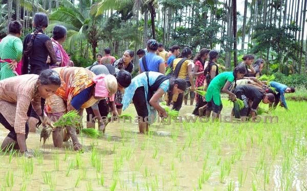 konaje_naije_photo_1