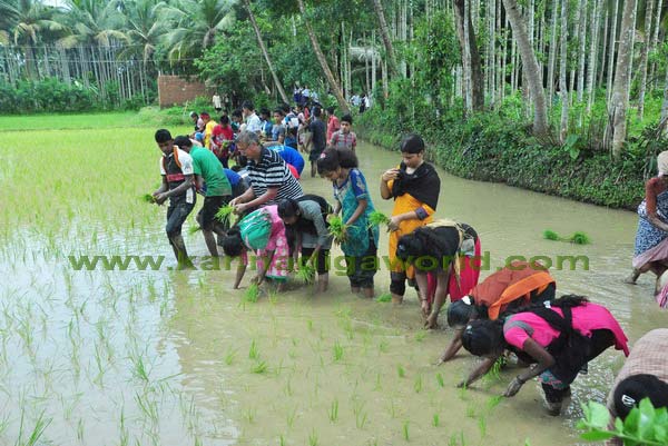 konaje_naije_photo_2