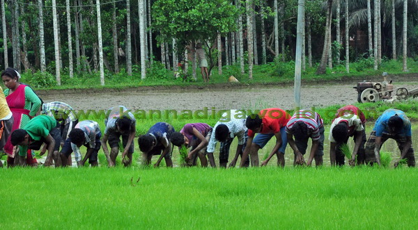 konaje_naije_photo_3