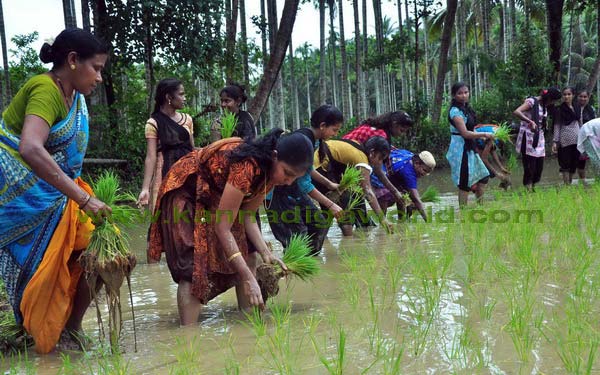 konaje_naije_photo_4