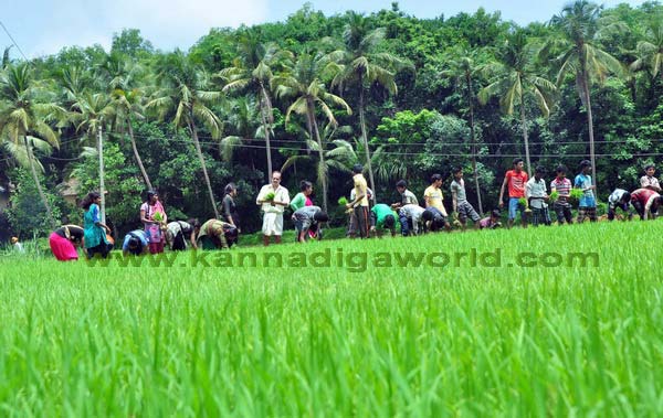 konaje_naije_photo_5