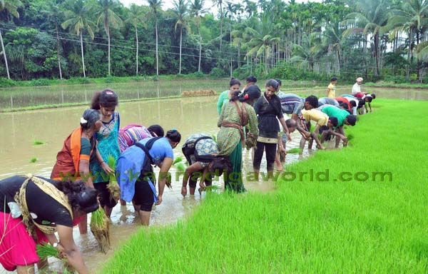 konaje_naije_photo_6