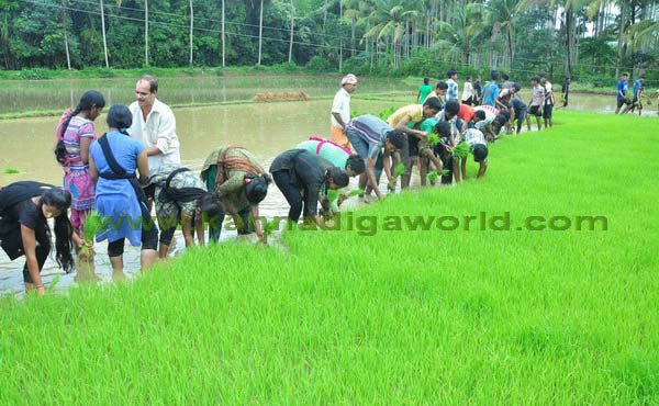 konaje_naije_photo_7