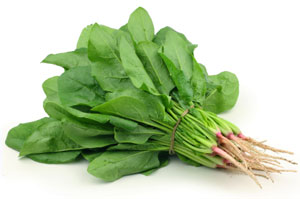 English_Spinach