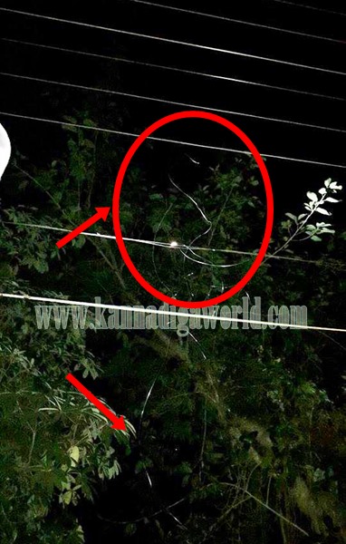 Talluru_Electricity_Incident Death (2)