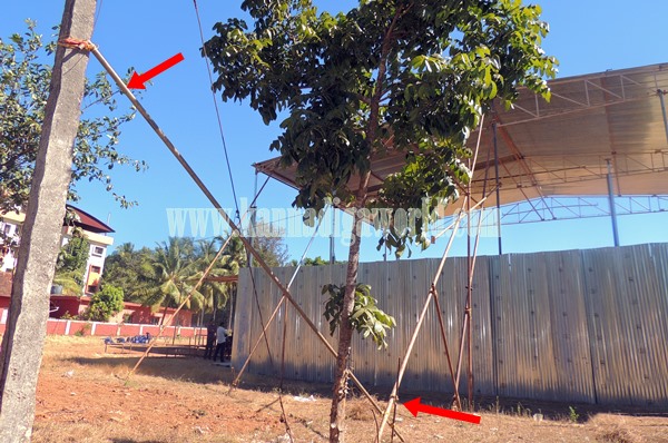 Talluru_Electricity_Incident Death (27)