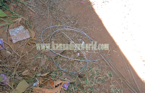 Talluru_Electricity_Incident Death (29)