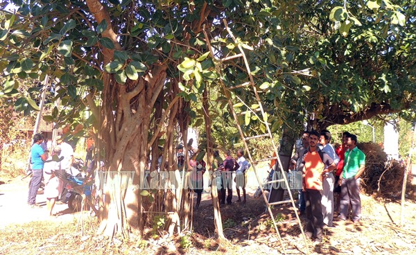 Talluru_Electricity_Incident Death (6)