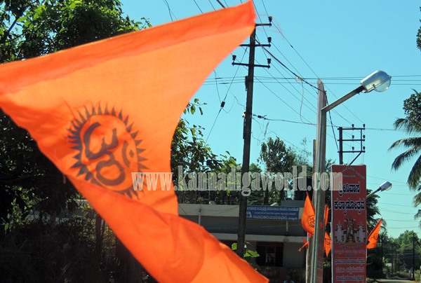 Talluru_Electricity_Incident Death (9)