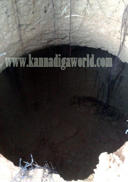 Vandse_Kopparige_Utkanana (1)