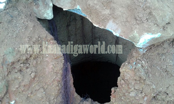 Vandse_Kopparige_Utkanana (2)