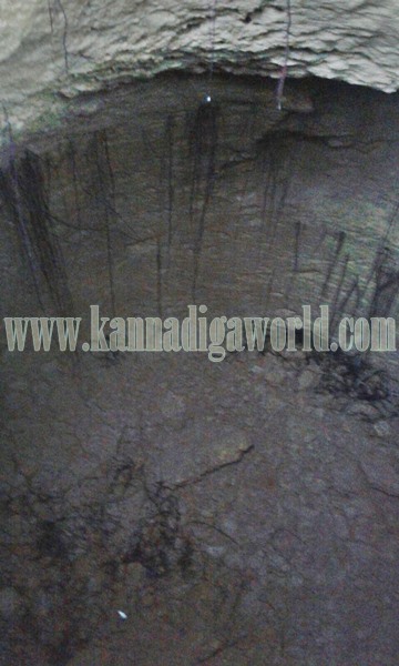 Vandse_Kopparige_Utkanana (3)