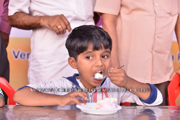 pilikula_ice_cream_2