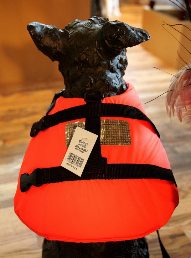 Airplne_suprise_photo_7