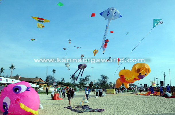 Kite_Fest_Start_16