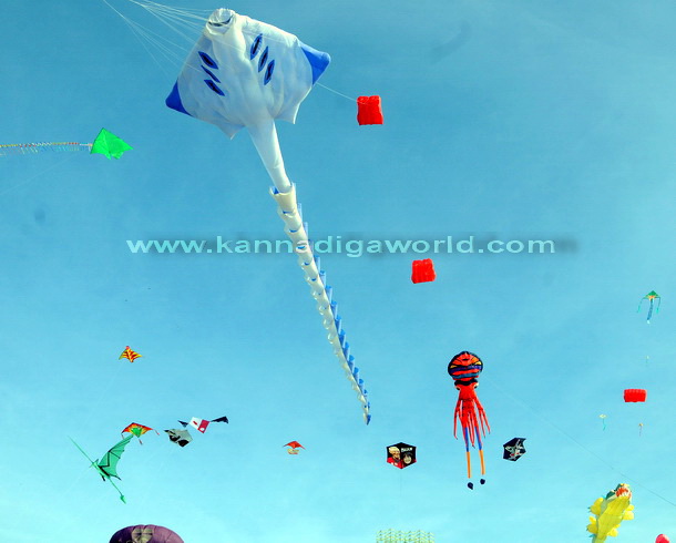 Kite_Fest_Start_17