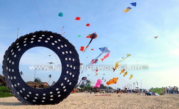 Kite_Fest_Start_20