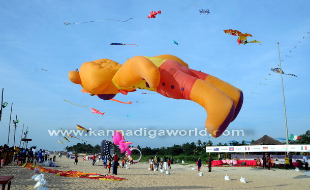 Kite_Fest_Start_25