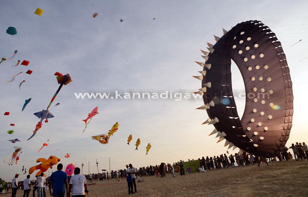 Kite_Fest_Start_5